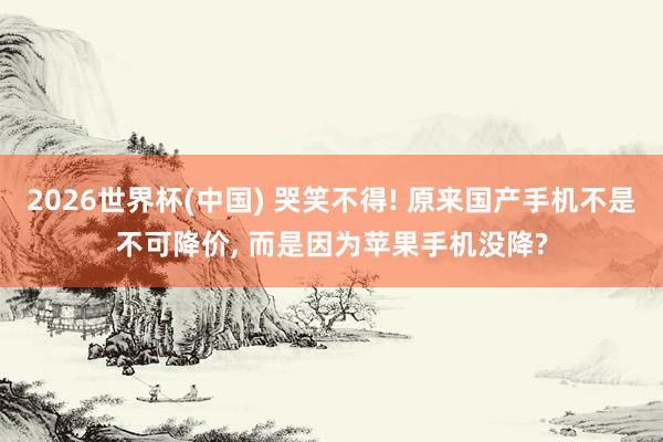 2026世界杯(中國) 哭笑不得! 原來國產(chǎn)手機不是不可降價, 而是因為蘋果手機沒降?