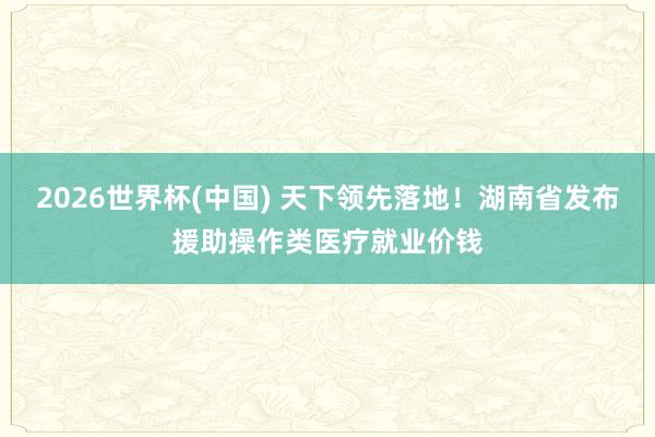 2026世界杯(中國) 天下領(lǐng)先落地！湖南省發(fā)布援助操作類醫(yī)療就業(yè)價(jià)錢