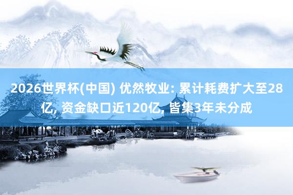 2026世界杯(中國(guó)) 優(yōu)然牧業(yè): 累計(jì)耗費(fèi)擴(kuò)大至28億, 資金缺口近120億, 皆集3年未分成