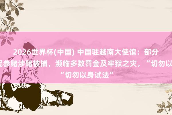 2026世界杯(中國) 中國駐越南大使館：部分在越公民參賭涉賭被捕，瀕臨多數罰金及牢獄之災，“切勿以身試法”