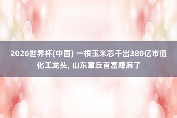 2026世界杯(中國) 一根玉米芯干出380億市值化工龍頭, 山東章丘首富賺麻了