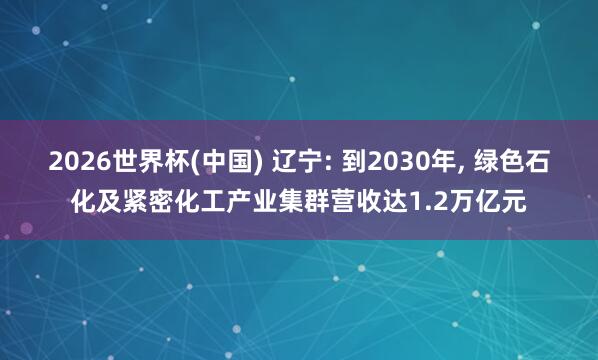2026世界杯(中國) 遼寧: 到2030年, 綠色石化及緊密化工產業集群營收達1.2萬億元