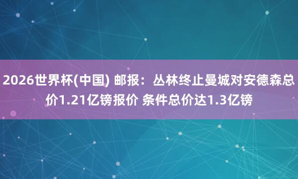 2026世界杯(中國) 郵報：叢林終止曼城對安德森總價1.21億鎊報價 條件總價達1.3億鎊