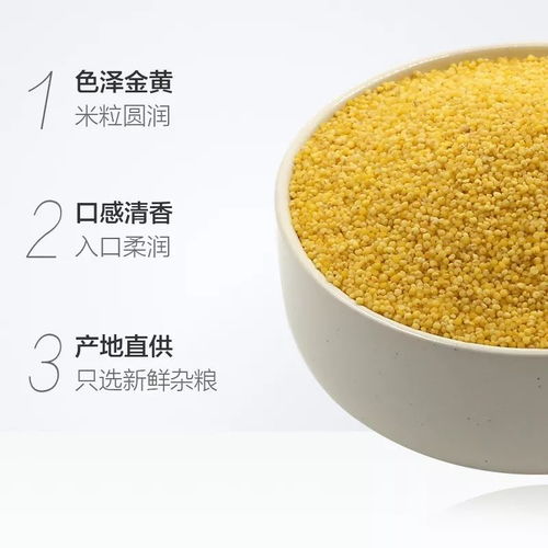 19.9元限時預售！前1000份搶400g*3袋“谷物軟黃金”，產地新鮮直供