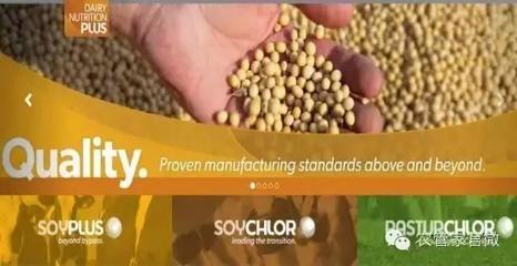 農(nóng)業(yè)合作社的力量 美國(guó)如何應(yīng)對(duì)谷物滯銷(xiāo)挑戰(zhàn)